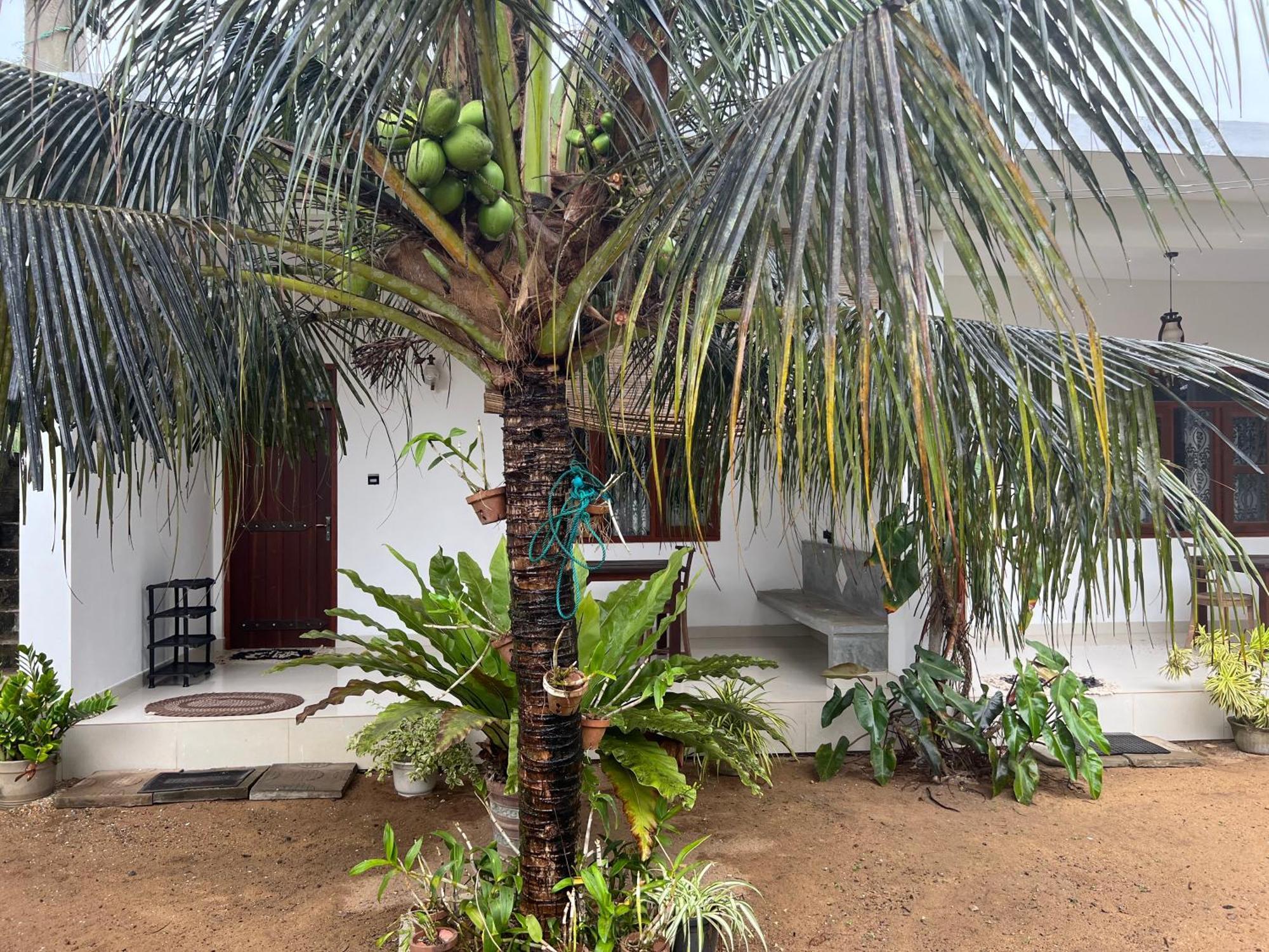 Awesome Guest Mirissa Hotel Exterior photo